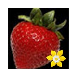 Nutters Bulk & Natural Foods - Other in Scottsbluff