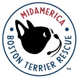 Midamerica Boston Terrier Rescue - Pet Stores in Omaha