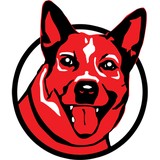 Red Dog Carpet Cleaning - Cleaning Services in Kearney