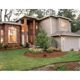 Royal Lawns, Inc. - Lawn Services in Waterloo
