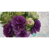 Field's Floral & Gift - Florists in Lincoln