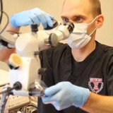 Hilfer Paul B DDS - Dentists in Omaha