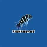 Fish Freaks - Pet Stores in Omaha