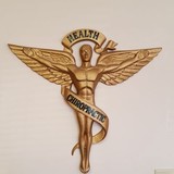 Bauer Thomas DC - Chiropractors in Lincoln