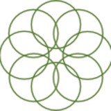 One Tree Yoga - Yoga in Omaha