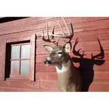 Tobeys Riverbottom Outfitters - Other in North Platte