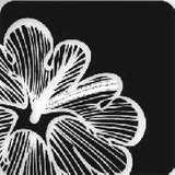 Loess Hills Floral Studio - Florists in Omaha