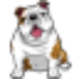 Huskerland Bulldogs - Other