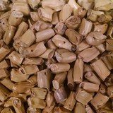 Gamagrass Seed Co - Other in Falls City
