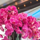 Piccolo's Florist & Gifts Inc - Florists in Omaha