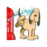 Sandy's Pet Nutrition Center - Pet Stores in Concord