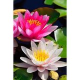 Relationship Awakenings - Other in Moultonborough