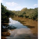 Danbury General Store - Other in Danbury