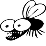 Blackfly Canoes LLC - Other in New Hampton