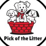 Puppy Palace - Pet Stores in Salem