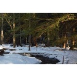 Piscataquog Land Conservancy - Other in New Boston