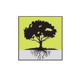 Big Tree Marketing - Marketing in Exeter