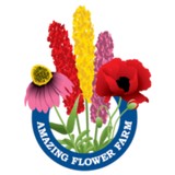 Amazing Flower Farm - Other in New Ipswich