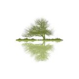 Sugar River Flooring - Other in Grantham
