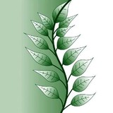 Back To Roots Chiro & Nutri - Chiropractors in Rochester