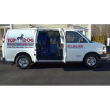 Top Dog Carpet Cleaning LLC - Carpet Cleaning in Rochester