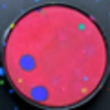 Lamprey River Screenprint - Other in Newmarket