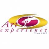 Art Experience Inc - Graphic Design in Hampton
