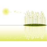 Hinds Septic Design Services - Septic Services in Concord