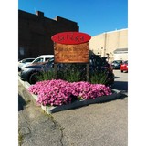 Lafesta Brick & Brew Pizzaria - Pizza in Dover