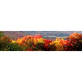 Bellows-Nichols Agency Inc - Insurance in Peterborough