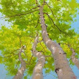 Schell Thomas G DDS - Dentists in Lebanon