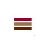 Next Level Now Inc - Financial Services in Portsmouth