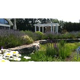 Terra Firma Landscape Arch - Landscape Architects in Portsmouth