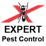 Expert Pest Control - Pest Control in Portsmouth