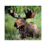 J W Powers Realty CO - Other in Goffstown