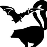 Advanced Wildlife Control LLC - Pest Control in Barrington