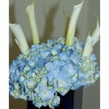 The Blossom Shop, LLC - Florists in Franklin