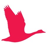 Family Main St Salon - Other in Goffstown