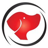 Moxdog Hosting & Design - Other in Raymond