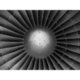 Air Bear Aviation LLC - Other in Derry