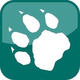 Wildcat Mountain Ski Area - Other in Gorham