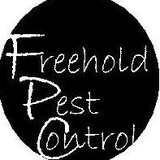Freehold Pest Control Inc - Pest Control in Freehold