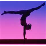 Blake's Gymnastics Training - Gyms in Northfield