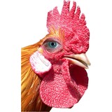 Christiana Productions LLC - Other in Hopatcong