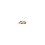 Dynamic Elevator Corp - Other in Mountainside