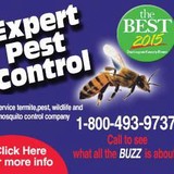 Expert Pest Control Inc - Pest Control in Burlington