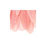 Skin Care Professionals - Other in Sea Girt