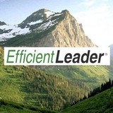 Efficientleader - Business Consulting in Chatham