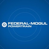 Federal-Mogul Corp - Other in Whiting