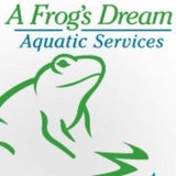 A Frog's Dream - Other in Long Valley